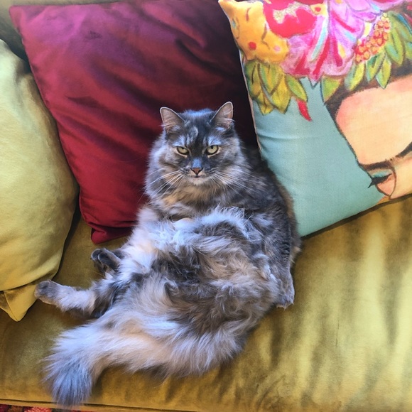 🌺 Meet your Posher, Dana 🌺 - Picture 4 of 12